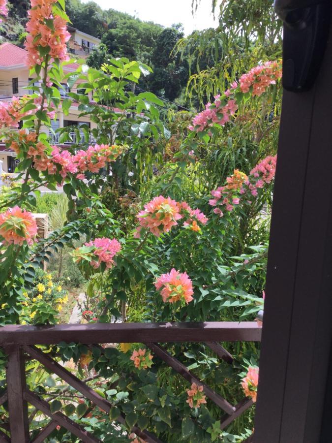 Bougainvillas Seychelles Anse Royale Buitenkant foto