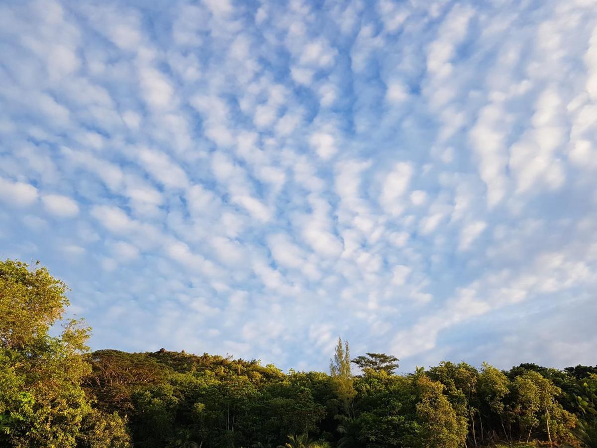 Bougainvillas Seychelles Anse Royale Buitenkant foto